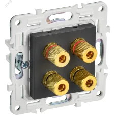 SKANDY Аудиорозетка 4-местная SK-A01T титан IEK