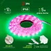 Лента светодиодная для растений с адаптером 12V FITO-Strip Light-RB-45W-5m-12V-IP65 красно-синего спектра 5м IP65 GREEN LINE
