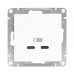 Эпика Механизм розетки USB-C - 2шт белый EKF