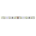 ЭРА Лента светодиодная LS2835-4,8-60-12-6500К-IP20-2year-5m (140/4200)