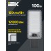 Светильник светодиодный консольный ДКУ 1011-100Ш 5000К IP65 IEK