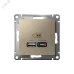 ATLASDESIGN USB РОЗЕТКА A + тип-C 45W высокоскор.заряд. QC,PD, механизм, ШАМПАНЬ
