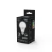 Лампа Gauss A60 AC12-36V 10W 860lm 4100K E27 LED 1/10/50
