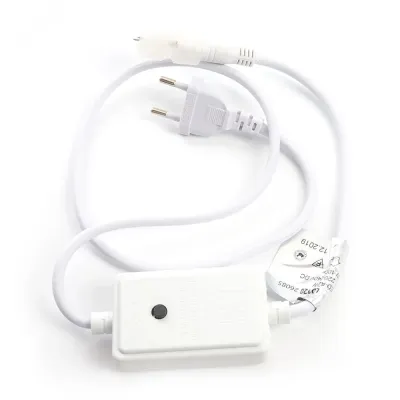 Контроллер 100м 2W для дюралайта LED-R2W со светодиодами (шнур 0,7м)