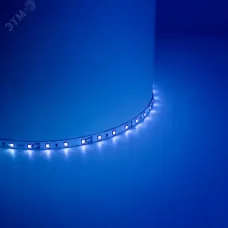Лента светодиодная, 60SMD(2835)/m 4.8W/m 12V IP65 5m синий, LS604