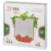 Квантум борд ЭРА FITO-80W-LED-QB Quantum board фитопрожектор полного спектра 80 Вт 3500К