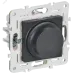 SKANDY Светорегулятор поворотный 600Вт SK-D01T титан IEK