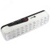 Светильник аккумуляторный BACKUP-250 LUMA EKF