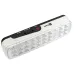 Светильник аккумуляторный BACKUP-250 LUMA EKF