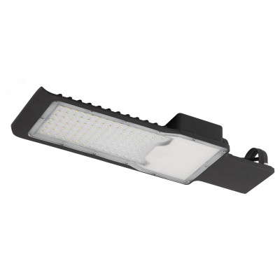 Уличный светильник ЭРА SPP-503-0-50K-080 80Вт 5000К 8000Лм IP65 КСС Ш 48мм