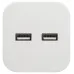 Разветвитель электрический ЭРА SP-2-USB-W на 2 розетки + 2xUSB 2400mA, без заземл 10А (белый)