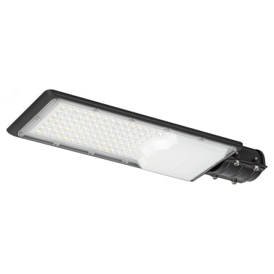 Уличный светильник ЭРА SPP-503-0-50K-100 100Вт 5000К 10000Лм IP65 КСС ''Ш'' 48мм