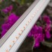 Светильник для растений, фитолампа светодиодная линейная ЭРА FITO-9W-T5-Ra90 полного спектра 9 Вт Т5