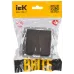 BRITE Выключатель двухклавишный с индикацией 10А ВС10-2-1-БрТБ темная бронза