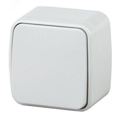 3-101-01 Intro Выключатель, 10А-250В, IP20, ОУ, Polo, белый (18/360/4320)