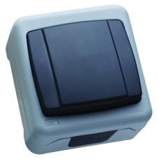 Выключатель одноклавишный  проходной IP55, серый