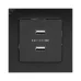 Стокгольм Механизм Розетки USB 2-местной 2,1А черный