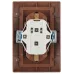 Розетка Intro Plano 1-205-10 с заземлением двойная 2X2P+E Schuko, 16А-250В, IP20, СУ, венге
