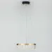 Люстра Rivoli Erika 6131-101 светодиодная LED 30 Вт 3000 K дизайн