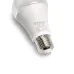 Лампа светодиодная для растений, А60 (15W) 230V E27, красно-синий спектр LB-7061