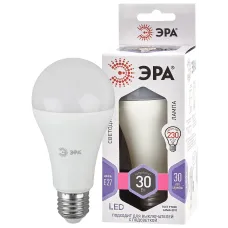 Лампочка светодиодная ЭРА STD LED A65-30W-860-E27 E27 / Е27 30Вт груша холодный дневной свет