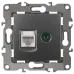 12-3110-12 ЭРА Розетка комбинированная RJ45+TV, IP20, Эра12, графит (10/100/3200) 12-3110-12 ЭРА Розетка комбинированная RJ45+TV, IP20, Эра12, графит (10/100/3200)