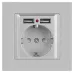 Розетка Intro Accent 6-410-03 , P+E Schuko со шторками, 16А-250В + 2хUSB, IP20, СУ, алюминий