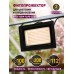 Фитопрожектор для растений светодиодный ЭРА FITO-100W-Ra90-LED для цветения и плодоношения полного спектра 100 Вт