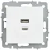 BRITE Розетка USB A+C 45Вт высокоскоростная зарядка РЮ11-2-БрАБ арктический белый IEK