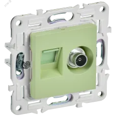 SKANDY Розетка двойная TV+RJ45 кат.5E SK-A14G мятный IEK