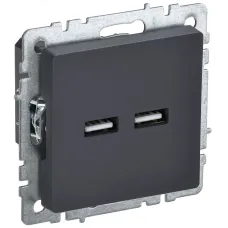 BRITE Розетка USB A+A 3.1А РЮ10-1-БрГ графит