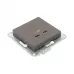 Механизм розетки USB-C - 2шт  мокко Эпика EKF