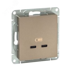 Механизм розетки USB-C - 2шт  шампань Эпика EKF
