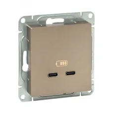 Механизм розетки USB-C - 2шт  шампань Эпика EKF