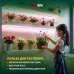 Лента светодиодная для растений с адаптером 12V FITO-Strip Light-RB-45W-5m-12V-IP65 красно-синего спектра 5м IP65 GREEN LINE