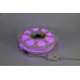 Светодиодная неоновая лента ЭРА N5050 72-IP67-220V-20m-RGB многоцветная
