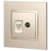14-3110-04 ЭРА Розетка RJ45+TV, IP20, шампань (10/100/3200)