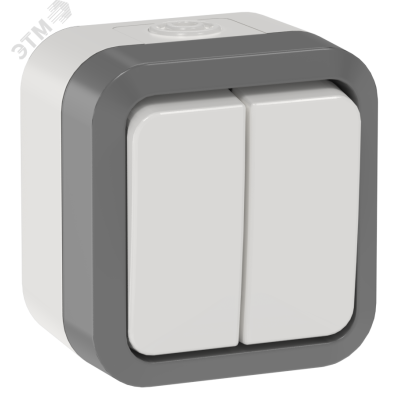 TORS Выключатель двухклавишный проходной 10А IP55 TS225 сер-бел IEK