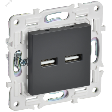 SKANDY Розетка USB A+A 3,1А SK-R15T титан IEK