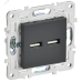 SKANDY Розетка USB A+A 3,1А SK-R15T титан IEK