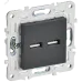 SKANDY Розетка USB A+A 3,1А SK-R15T титан IEK