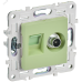 SKANDY Розетка двойная TV+RJ45 кат.6E SK-A15G мятный IEK