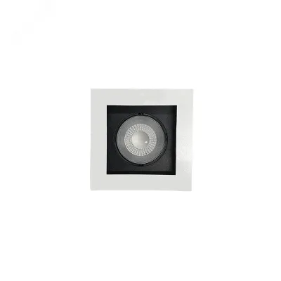 PSP-S 211  1x8W 4000K 55° White IP40