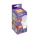 PLED- SP A60 18w E27 5000K 230/50  Jazzway