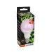 PPG A60 Agro  9w CLEAR E27 IP20 ( для растений) Jazzway