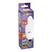 PLED- SP C37 11w E14 3000K  230/50  Jazzway