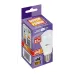 PLED- SP A60 12w E27 4000K 230/50  Jazzway