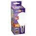 PLED OMNI G45 8w E14 3000K FR 230/50  Jazzway