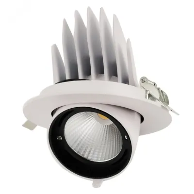 PLED DL4 30W 4000K 24° поворот  White  IP40 Jazzway