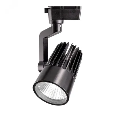 PTR  0130-2 30w 4000K 24° BL (чёрный) IP40 Jazzway